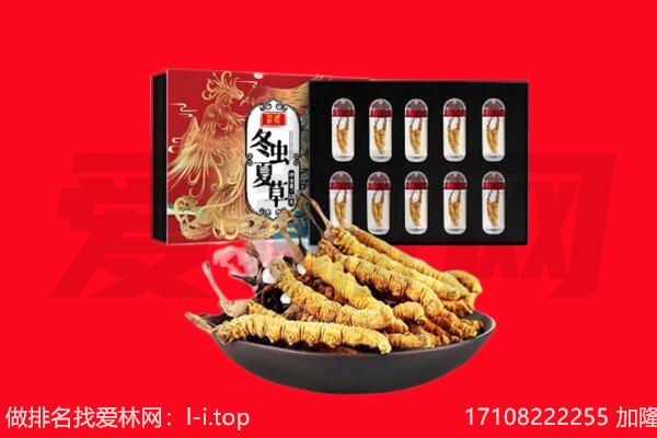 龙凤区回收虫草.jpg